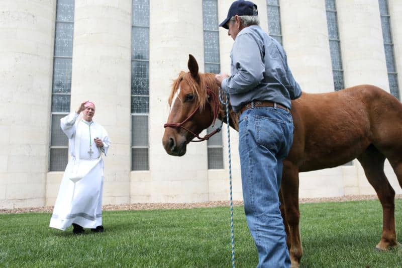 Read more about the article Bring holiness to the world by loving God, creation, others, says bishop