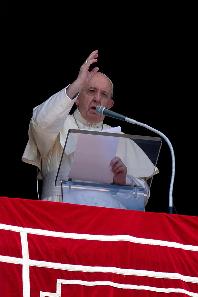 Read more about the article Inspired by Gospel, Christians need to be active in society, pope says