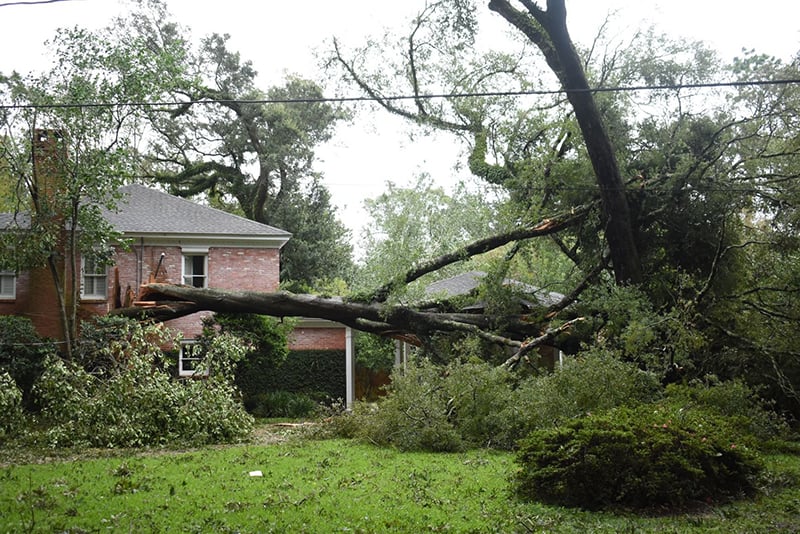 Read more about the article Gulf Coast dioceses assess damage from Hurricane Sally