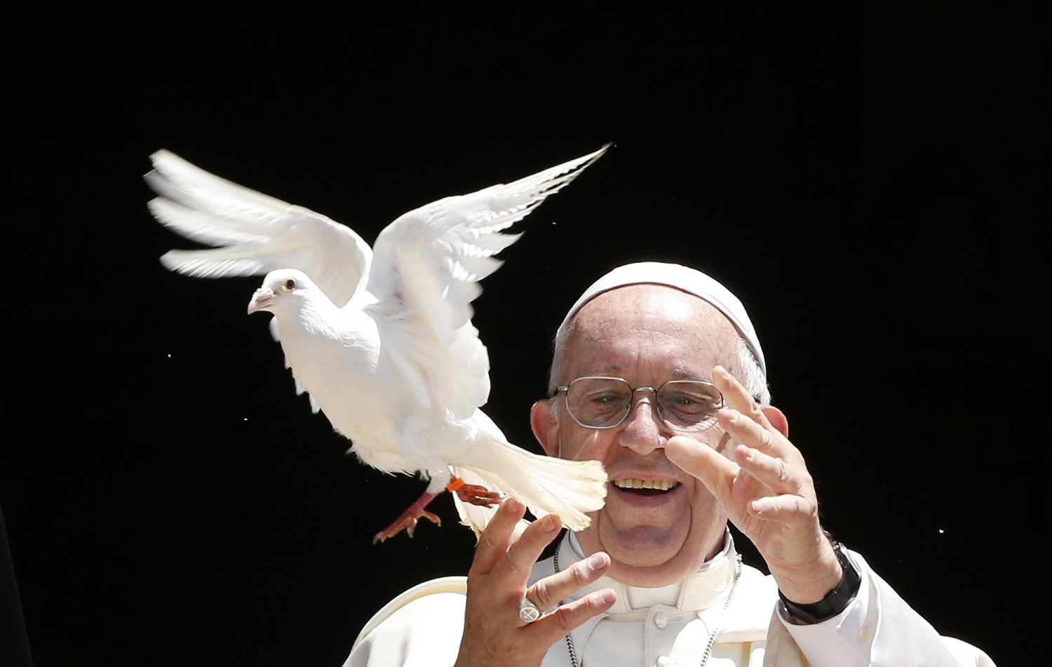Read more about the article ‘No more war’: Pope continues his teaching on Gospel nonviolence