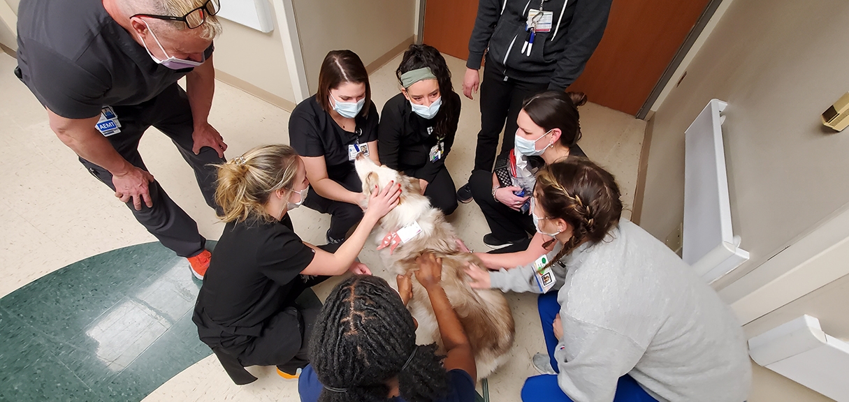 Read more about the article Therapy dogs provide healing to Ascension Saint Thomas patients, staff [Photo Gallery]