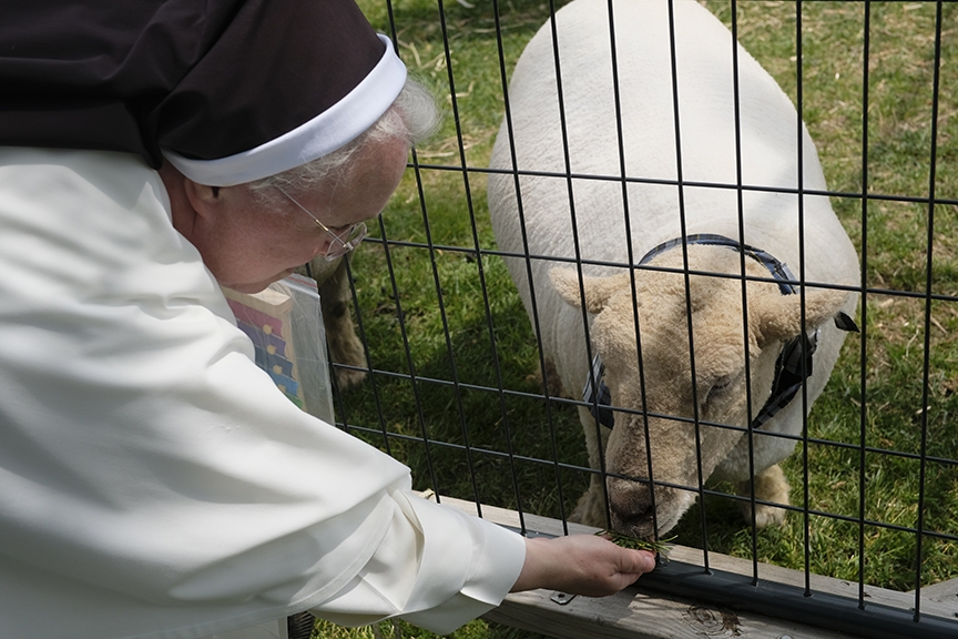 Read more about the article Overbrook Catholic celebrates farm blessing [Photo Gallery]