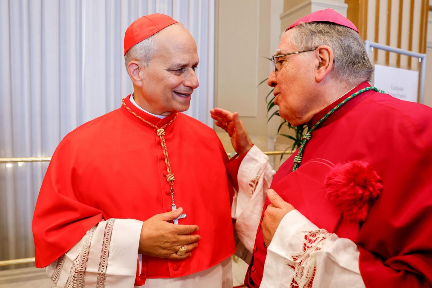 Read more about the article Bishops must promote communion, unity with pope, new U.S. cardinal says