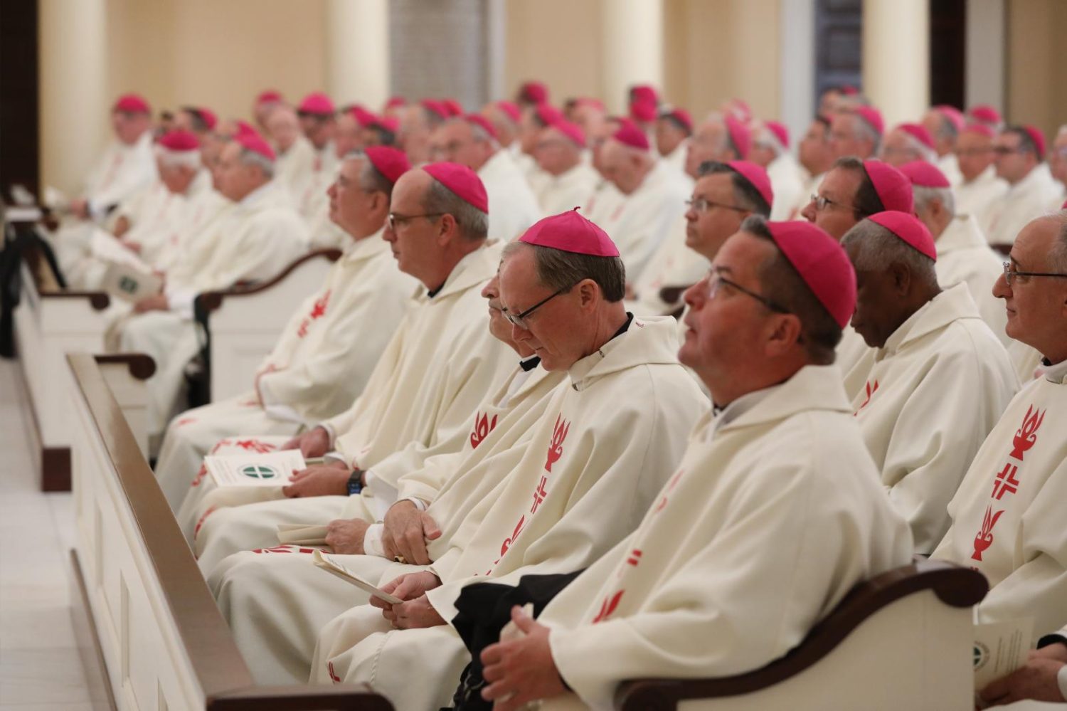 Read more about the article US bishops’ meeting shows united front on mission but no clear synod action plan 
